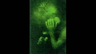 Download Lagu Unearthed [UK] [Death] - 1993 - Born from the Weeping [FULL DEMO] MP3