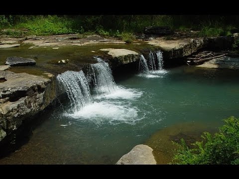 Vidéo: Au Bord D'une Rivière Très Calme