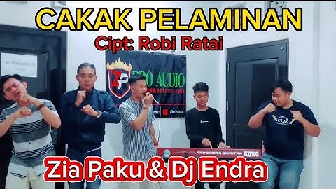 Lagu Lampung Populer 2023 || CAKAK PELAMINAN _ Cipt: Robi Ratai || Zia Paku & Dj Endra