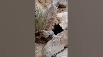 مقناص شباب ال كثير وادي جعيمه بيض وجهكم 