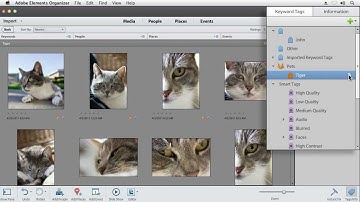 Intuitive Organizer in Photoshop Elements 12