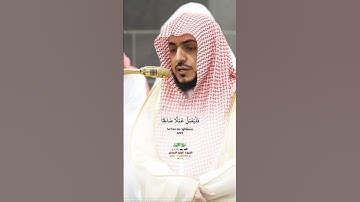 قل إنما أنا بشر مثلكم_ سورة الكهف_تلاوة مرئية من صلاة المغرب 13 رمضان 1446هـ_الشيخ د. الوليد الشمسان