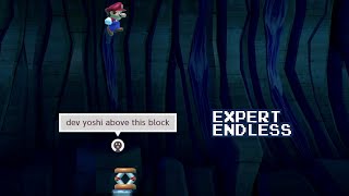 Expert Endless: The Dev Yoshi that Wasn't? (Super Mario Maker 2)