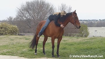 Little Docs Rufus - riding bareback #2 - ValleyViewRanch.net