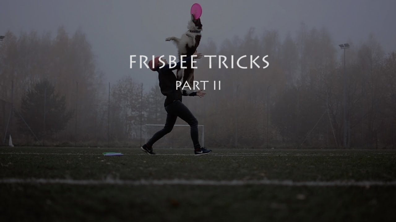 Frisbee Tricks | Part II ইন্দোনেশিয়া
