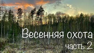 НА ТЯГЕ ВАЛЬДШНЕПА. ВЕСЕННЯЯ ОХОТА в Тверской области. Готовим на костре. часть 2