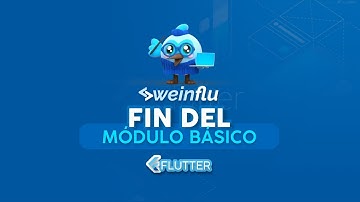 Weinflu 💙 - Curso Gratis de Flutter Capitulo 11 - Unit Test y Widget Test Flutter 🧪📓
