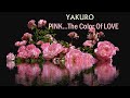 PINK... The Color Of LOVE - YAKURO