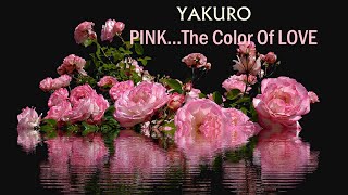 PINK... The Color Of LOVE  YAKURO