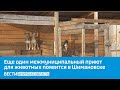 Еще один межмуниципальный приют для животных появится в Шимановске