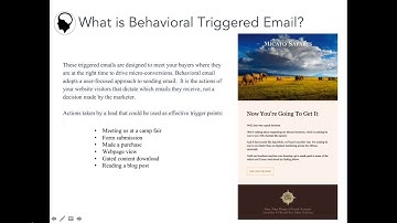 Lead Nurturing & Email Automation