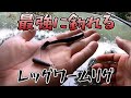 【レッグワーム】ふっつーに超釣れる【リアクションダウンショット】