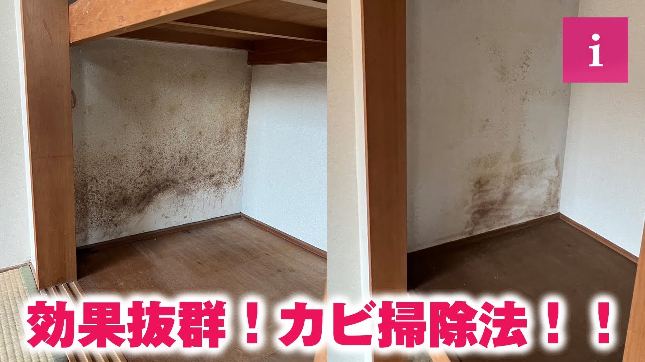 Get rid of mold in your closet! Effective cleaning method using