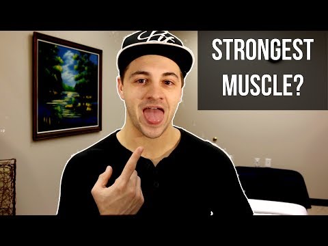 Видео: Хүний биеийн хамгийн хүчтэй булчин юу вэ?