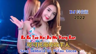 2022 - DJ版 - 可可托海的牧羊人 - Ke Ke Tuo Hai De Mu Yang Ren - Remix #dj抖音版