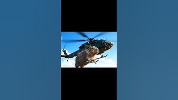 Capybara phát hiện trực thăng đang gặp nguy hiểm nhưng bị hiểu nhầm 😭 #bigfootphieuluuky #capybara