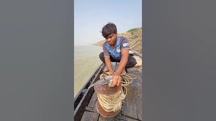 Two piece shark hunting tasty catfish bait throwing method  #fishinglife  #hook  #bait  #shorts