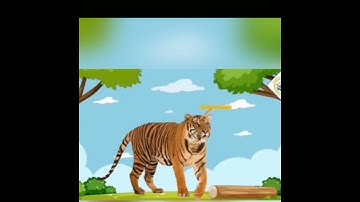 Trò chuyện về một số con vật sống trong rừng