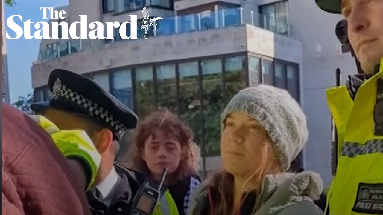 Greta Thunberg charged with public order offence after London protest