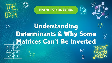 Determinant Explained Visually | From Scaling to Singular Matrices | Math for Machine Learning