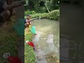 strike nila jumbo dikolam mini #mancing