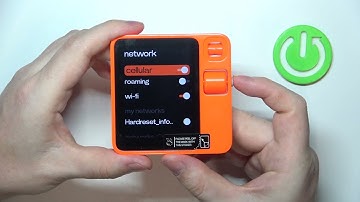 How To Enable & Disable Celular Network In Rabbit AI
