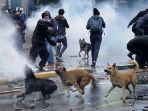 Hasta Siempre - Comandante Che Guevara (Gezi Parkı Direnişi)
