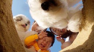 How about my family photo...? by 슈앤트리 SHU AND TREE 9,721 views 5 months ago 3 minutes, 4 seconds