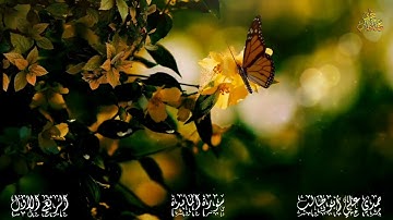 قرآن كريم سورة  المائدة (الربع الأول) حمدي علي أبوطالب Holy Quran Surah Al Ma'idah