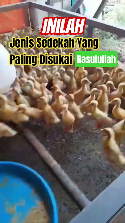 Inilah Jenis Sedekah Yang Paling Disukai Rasulullah ##kajianislam #dakwah #rasulullah #sedekah #fyp