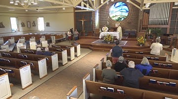 Wednesday, October 9, 2024 8:30am Mass