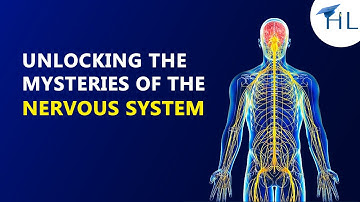 Unlocking the Mysteries of the Nervous System | Human Body Explained