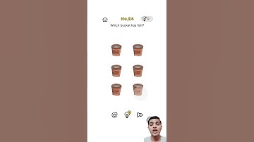 Brain out level 24 - which bucket has fish