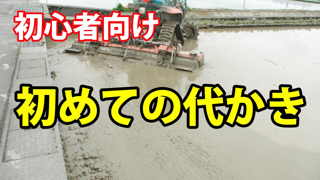 【初心者向け】初めての代かき