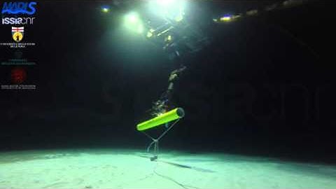 MARIS (Marine Autonomous Robotics for InterventionS)