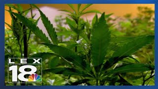 Change in KY medical marijuana program by LEX18 516 views 7 days ago 2 minutes, 50 seconds