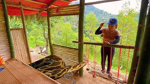 REWIND TIMELAPSE — 180 Days Building a Shelter in the Wilderness, Hunting, and Cooking | Hoai Le