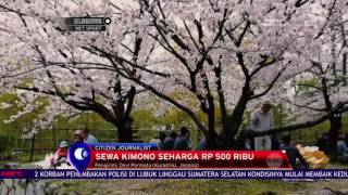 Bulan April Waktu Terbaik Nikmati keindahan Bunga Sakura di Jepang - NET12