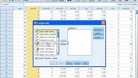 SPSS Tutorials: Split Files