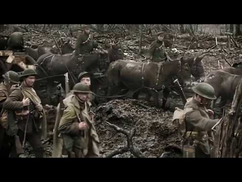 They Shall Not