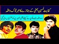 kaifee untold story of panjabi film star kaifee and sultan rahi inayat hussain bhatti kaifee bio