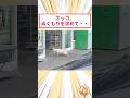 ネッコ、ぬくもりを求めて・・ #2ch動物スレ #猫動画 #猫のいる暮らし