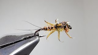 This is one way to tie a fishable realistic, flat headed mayfly nymph.