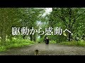 企業CM 「駆動から感動へ。」（15秒バージョン）