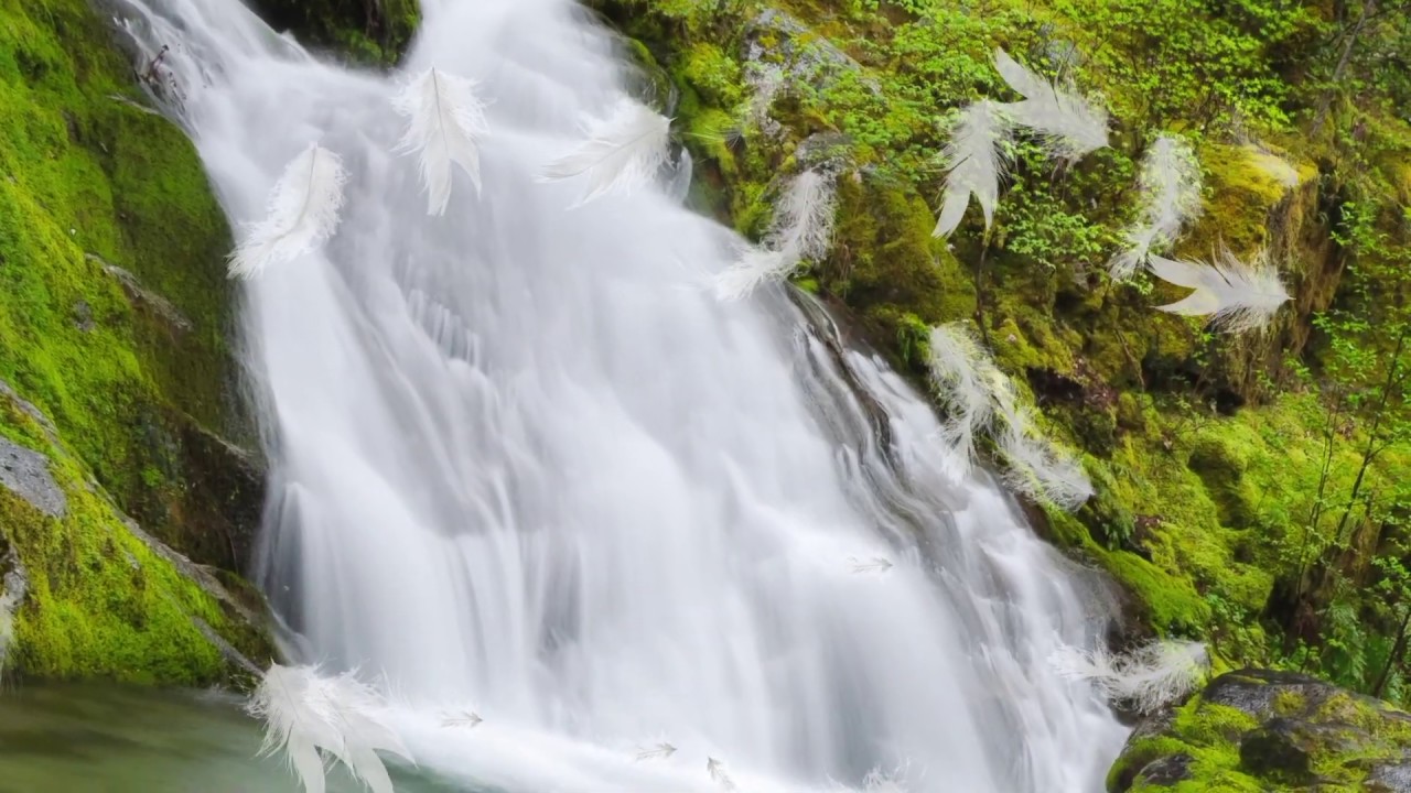 在 YouTube 上观看 Tranquility: Music United with Nature | The Potemkin (10 of 10)