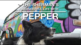 The Sherman&#39;s Wonderful Life with Pepper