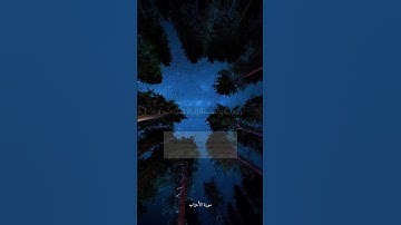 سورة الأحزاب / آية (٦٤،٦٥،٦٦،٦٧،٦٨)