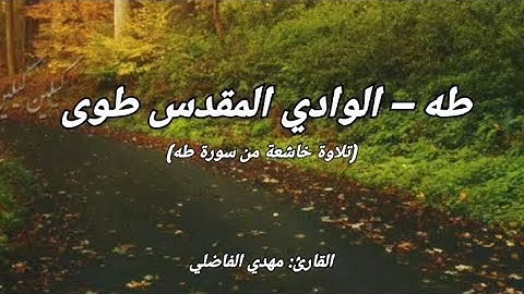 تلاوة خاشعة مؤثرة من سورة طه (الآيات 1–51) | قصة موسى عليه السلام والوادي المقدس