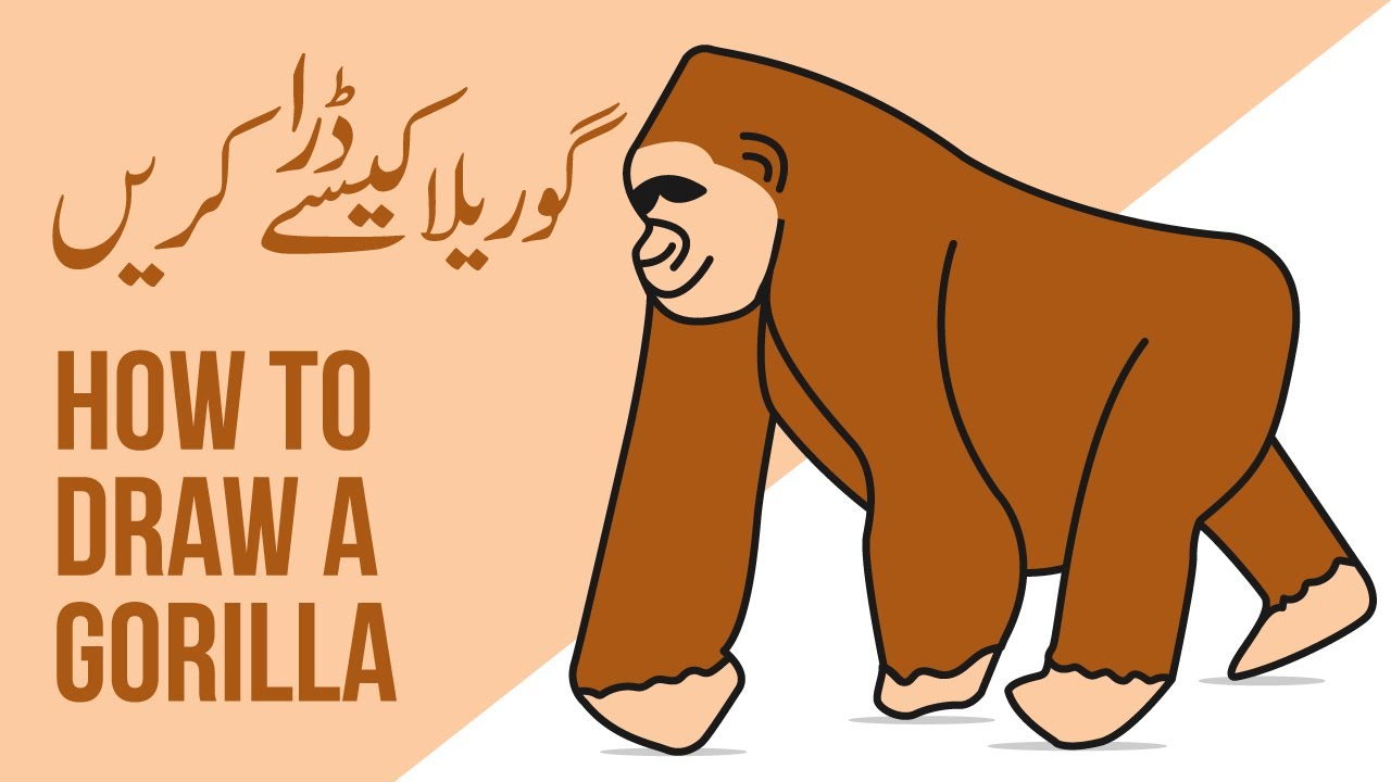 How to draw a gorilla | گوریلا کی ڈرائنگ کیسے کریں | Step by step gorilla drawing and coloring