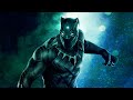 A Critique of Black Panther: The Most Overrated Marvel Movie Of All time